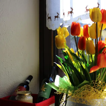 La Meridiana Alojamento de Acomodação e Pequeno-almoço Moncenisio