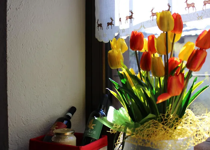 La Meridiana Alojamento de Acomodação e Pequeno-almoço Moncenisio